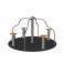 MANEGE ARAIGNEE